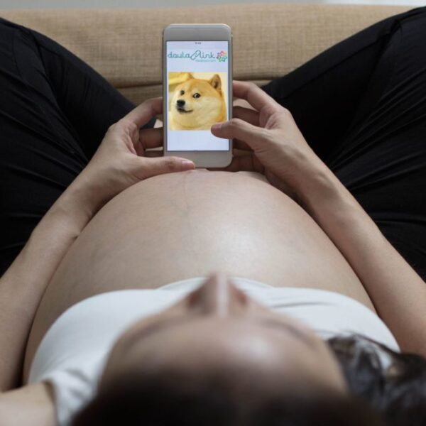 Пакет профессионального участника конференции "Потребности женщин в беременность, в родах и в послеродовом периоде"